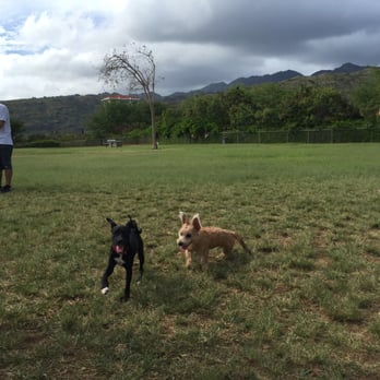 Hawaii Kai Dog Park - Me with my new friend Louis. - Dog Parks Near Me - Honolulu, Hawaii