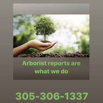 Lee Green Consulting - Tree Services Near Me - Miami Beach, Florida Lee Green Consulting - Tree Services Near Me - Miami Beach, Florida