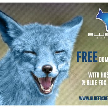 Blue Fox Designs - Free domain when hosting with Blue Fox Designs! - Web Design Near Me