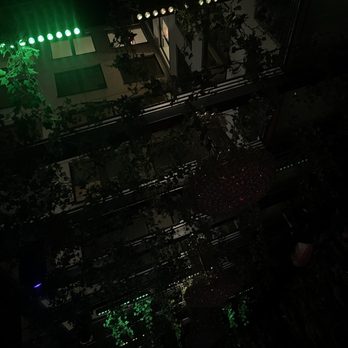 Rosebar Lounge - Dance Clubs Near Me - Washington, DC, District of Columbia
