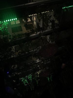 Rosebar Lounge by null