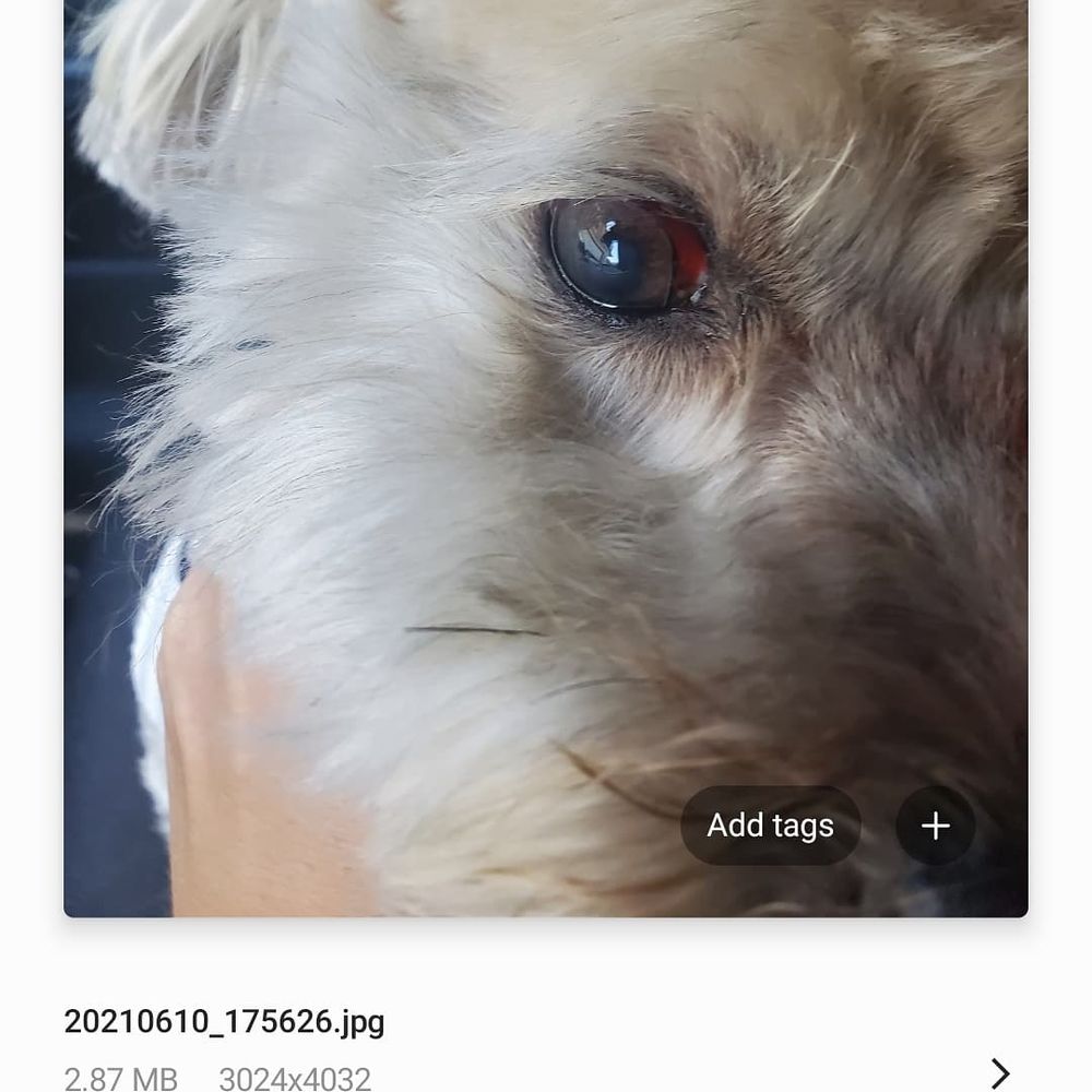 THE PET STOP Updated August 2024 49 Photos & 13 Reviews 4110