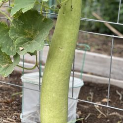 Orange County Great Park Farm + Food Lab
