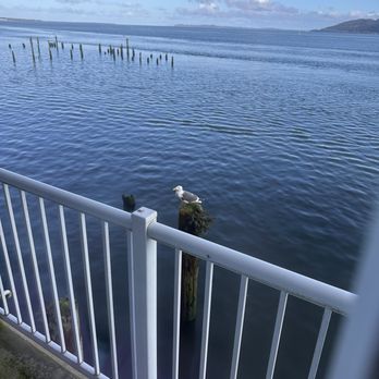 Cannery Pier Hotel & Spa - View from the room - Hotels Near Me - Astoria, Oregon Cannery Pier Hotel & Spa - View from the room - Hotels Near Me - Astoria, Oregon