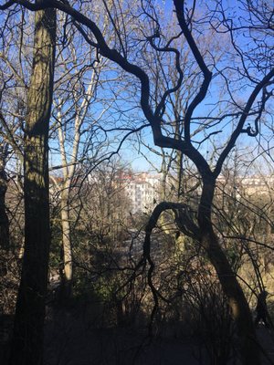 Viktoria Park by null