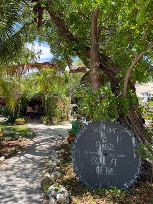 Bongo's Botanical Beer Garden and Cafe by null