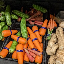 Jason's Nofrills - Bitter melon and huge carrots