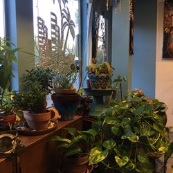 URBAN OASIS - 21 Photos & 56 Reviews - 1097 MacArthur Blvd, San Leandro ...