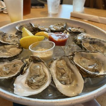 Grafton Oyster Bar - Blue point oysters - Cajun/Creole Near Me - Grafton, Illinois Grafton Oyster Bar - Blue point oysters - Cajun/Creole Near Me - Grafton, Illinois