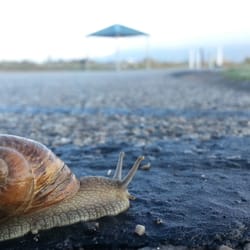 Utah Lake State Park