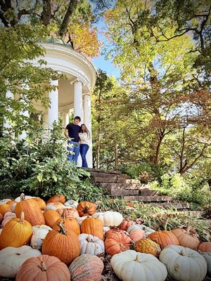 Philbrook Museum of Art by null