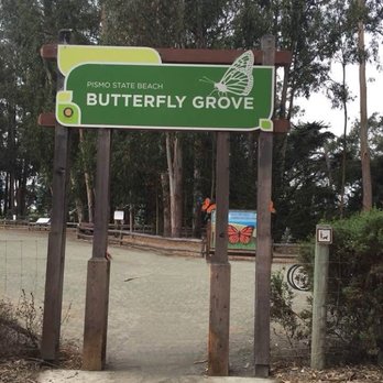 Monarch Butterfly Grove - Parks Near Me