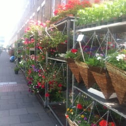 Caledonia Flower House