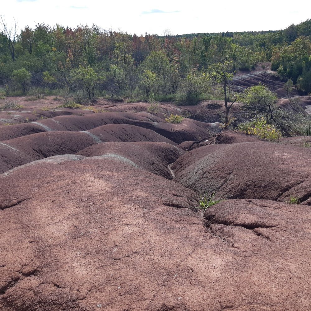 Badland from boardwalk