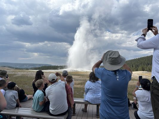 Old Faithful by null