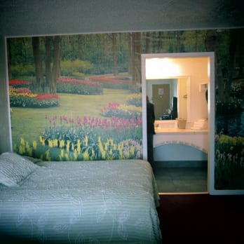 Austin Motel - Tulip room # 56 - Hotels Near Me - Austin, Texas Austin Motel - Tulip room # 56 - Hotels Near Me - Austin, Texas