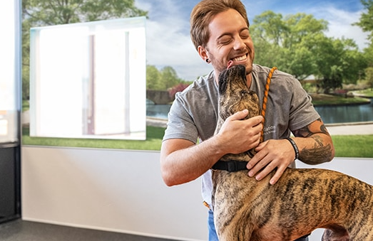 Dogtopia of Seattle-Roosevelt Square - pet boarding facility in Seattle, WA