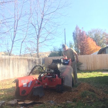 Clearys Outdoor Services - Tree Services Near Me Clearys Outdoor Services - Tree Services Near Me