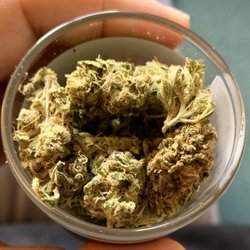 Your Green Thumb Caregivers - This is sugar black rose and delightful.