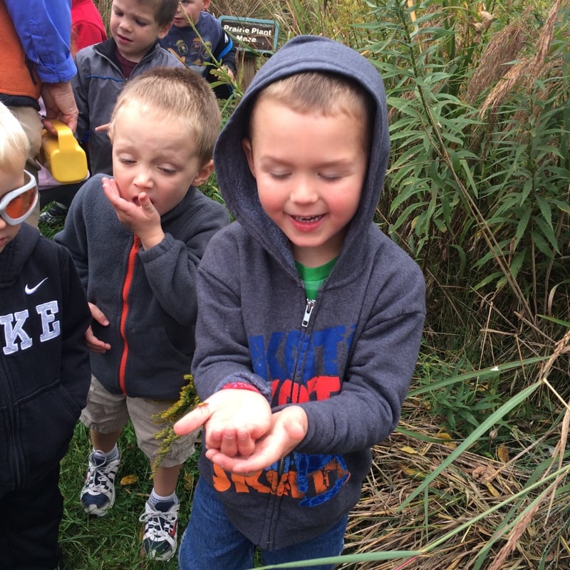 Mother Goose Early Learning Campus - childcare center in Hiawatha, IA