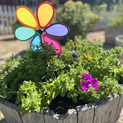 Vineyard Montessori - The school garden is a place for even the youngest students to learn about the life cycle of plants and the joy of the harvest.