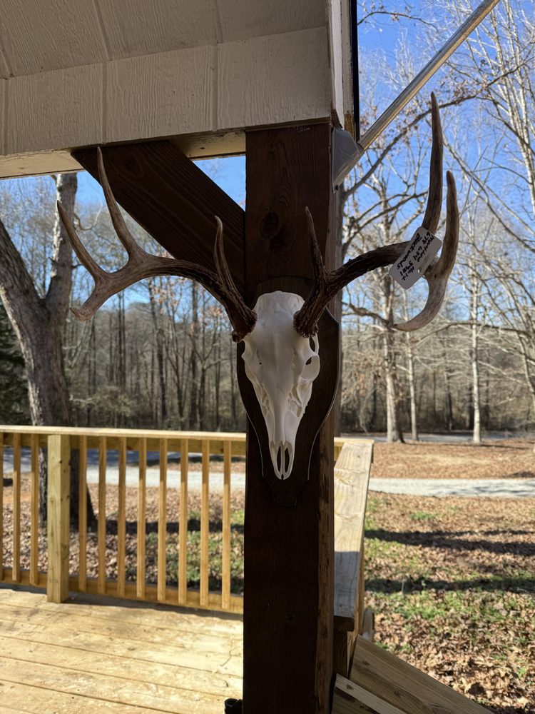 Backwoods Taxidermy - taxidermy in Martin, GA