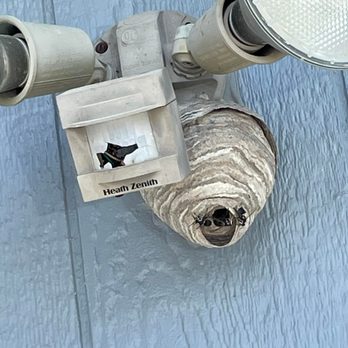 Brant’s Termite & Pest Control - Pest Control Near Me Brant’s Termite & Pest Control - Pest Control Near Me