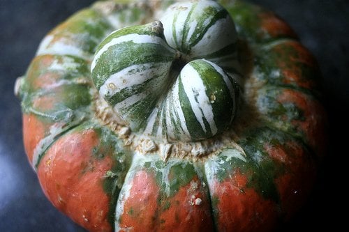 Lancaster Farm Fresh Cooperative by null