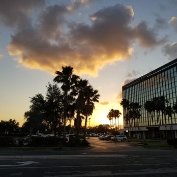 Border Grill Fresh-Mex - Sunset near Border Grill - Tacos Near Me - Orlando, Florida