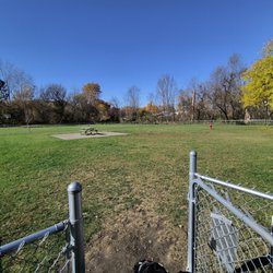 Cedar Springs Dog Park