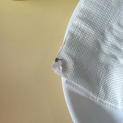 Hong Kong Gardens Restaurant - Bug from my drink