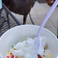 Berry Yo Frozen Yogurt