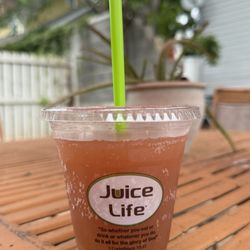 Juice Life - Raspberry Kombucha - 12oz