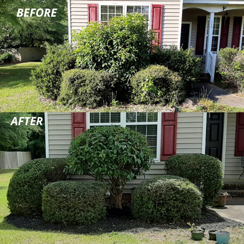 COLUMBIA HEDGE TRIMMING Columbia, SC Yelp