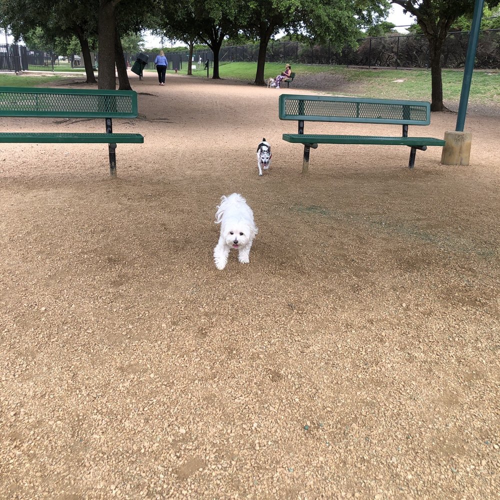 Danny Jackson Dog Park - Shaded and lots of seating - Dog Parks Near Me - Houston, Texas
