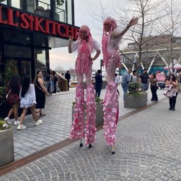 Performers during the Cherry Blossom Festival