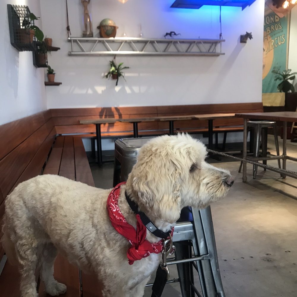 Revolution Roasters - Coffee & Tea Near Me - Oceanside, California Revolution Roasters - Coffee & Tea Near Me - Oceanside, California