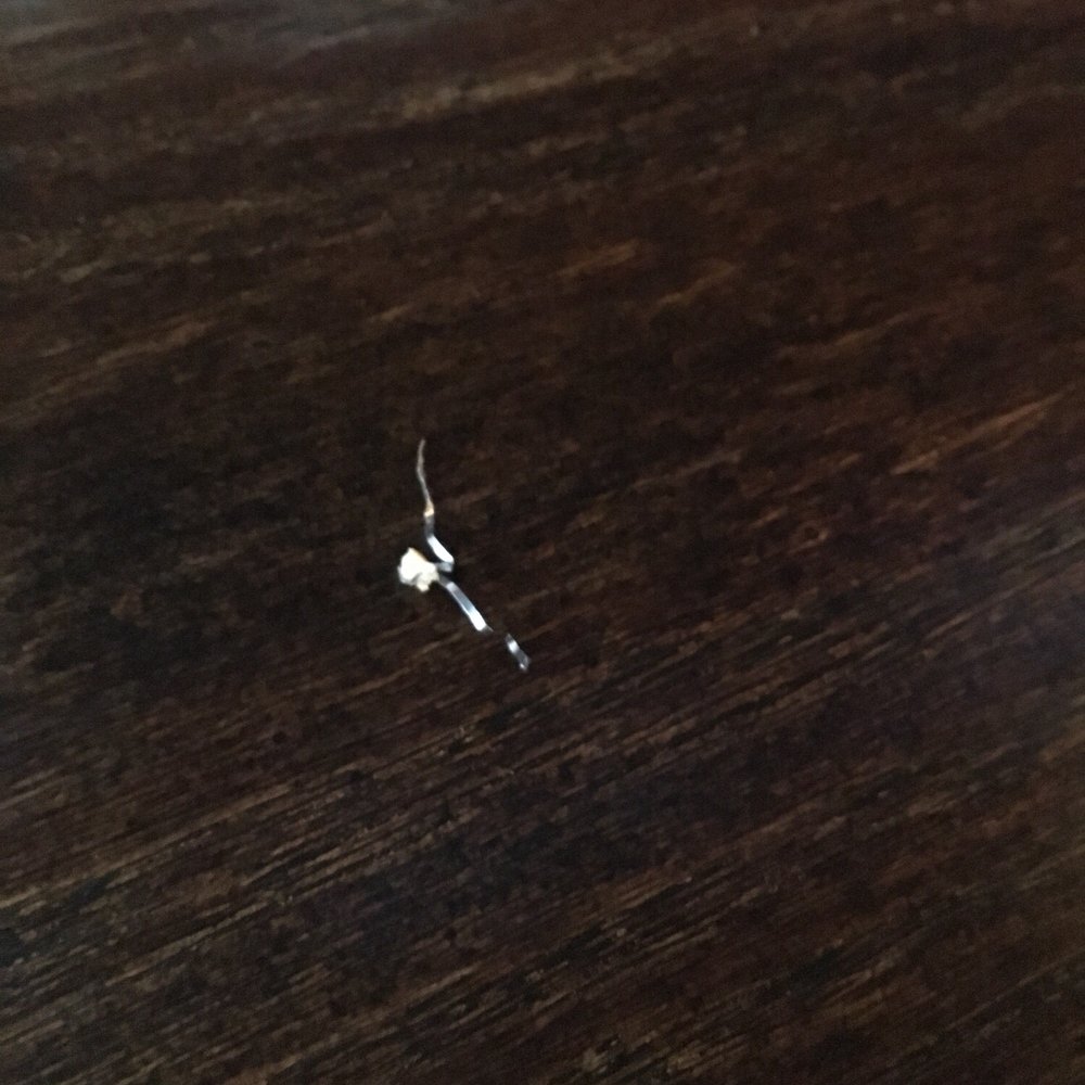 5 Spice Tea House & Restaurant - Wire found inside soup - Chinese Near Me - Mt Kisco, New York 5 Spice Tea House & Restaurant - Wire found inside soup - Chinese Near Me - Mt Kisco, New York