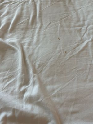 Cambria Hotel Pittsburgh - Downtown by null