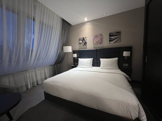 Hilton Garden Inn Frankfurt City Centre by null