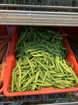 Gandhi Bazar by null