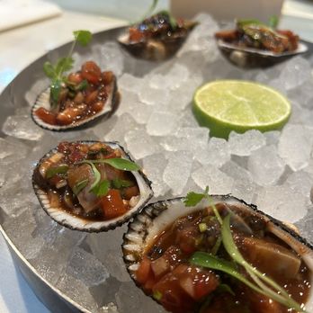 Holbox - oysters - Latin American Near Me - Los Angeles, California