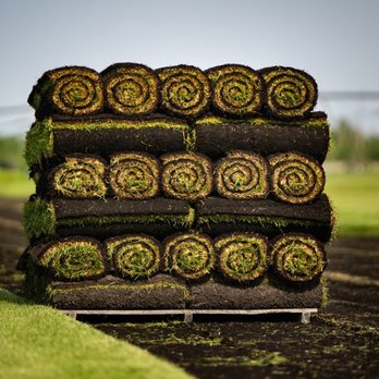 Skalitzky Sod Farms - a stack of freshly cut grass - Lawn Services Near Me - Waterloo, Wisconsin Skalitzky Sod Farms - a stack of freshly cut grass - Lawn Services Near Me - Waterloo, Wisconsin