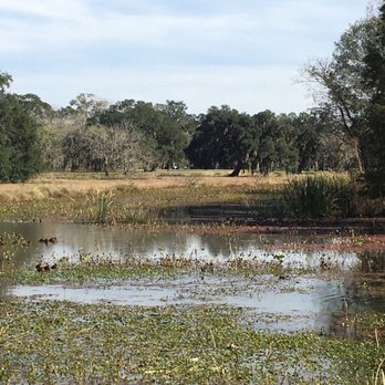 Brazos Bend State Park - Parks Near Me - Needville, Texas Brazos Bend State Park - Parks Near Me - Needville, Texas