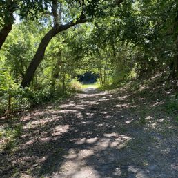 Trail