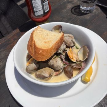 Santa Barbara Shellfish Company - Steamed clams - Seafood Near Me - Santa Barbara, California Santa Barbara Shellfish Company - Steamed clams - Seafood Near Me - Santa Barbara, California