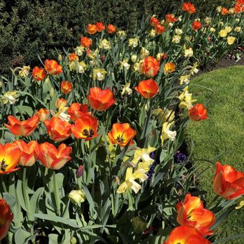 Stanley Park - Flowers at the tea house - Parks Near Me - Vancouver, British Columbia Stanley Park - Flowers at the tea house - Parks Near Me - Vancouver, British Columbia