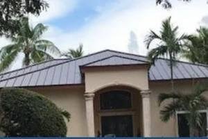 Slide of Andrew Palmer