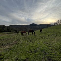 RustRidge Ranch & Winery - Dinner time.