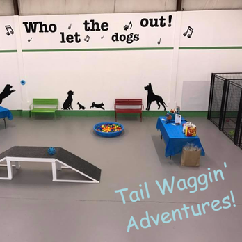 Tail Waggin' Adventures - Grand Opening - Pet Training Near Me - Pullman, Washington